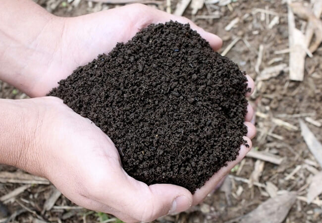 solo-para-agronegocio